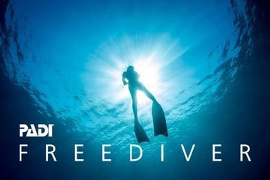 Freediver silhouette against the surface light